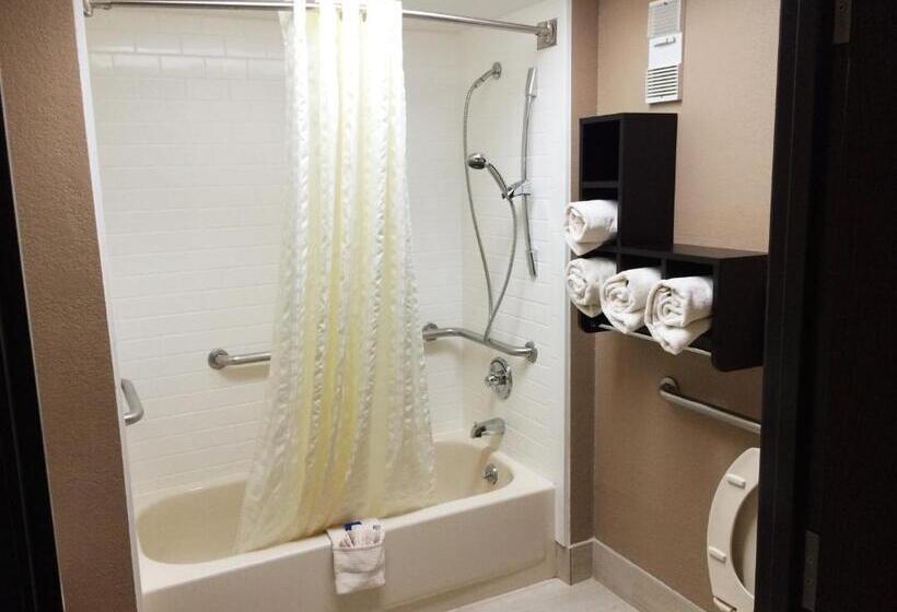 장애인을 위한 스탠다드 룸, Best Western Plus Galleria Inn & Suites