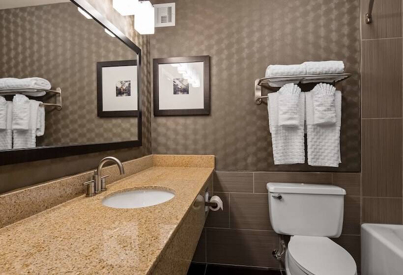 带2个双人床的标准工作室, Best Western Premier Airport/expo Center