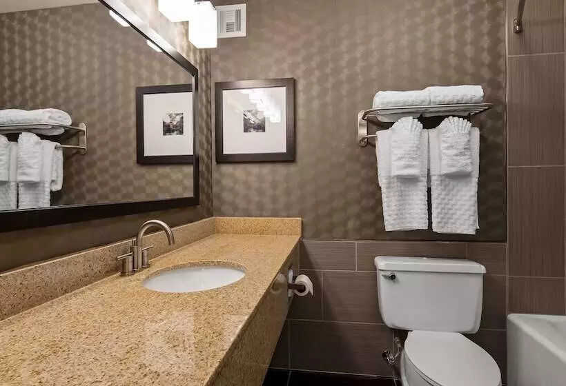 اتاق استاندارد با 2 تخت دوبل, Best Western Premier Airport/expo Center