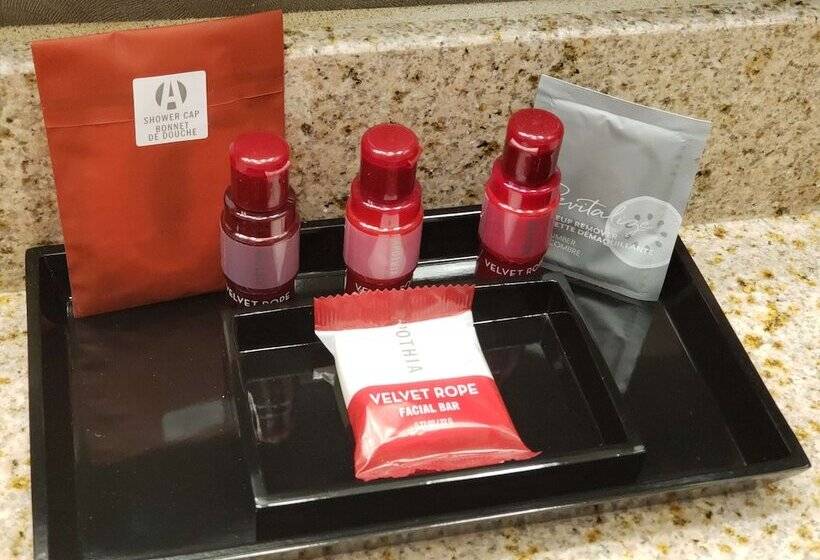 带2个双人床的标准工作室, Best Western Premier Airport/expo Center