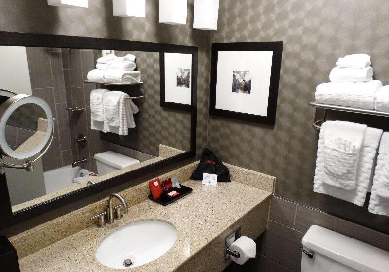 带大床的标准间, Best Western Premier Airport/expo Center