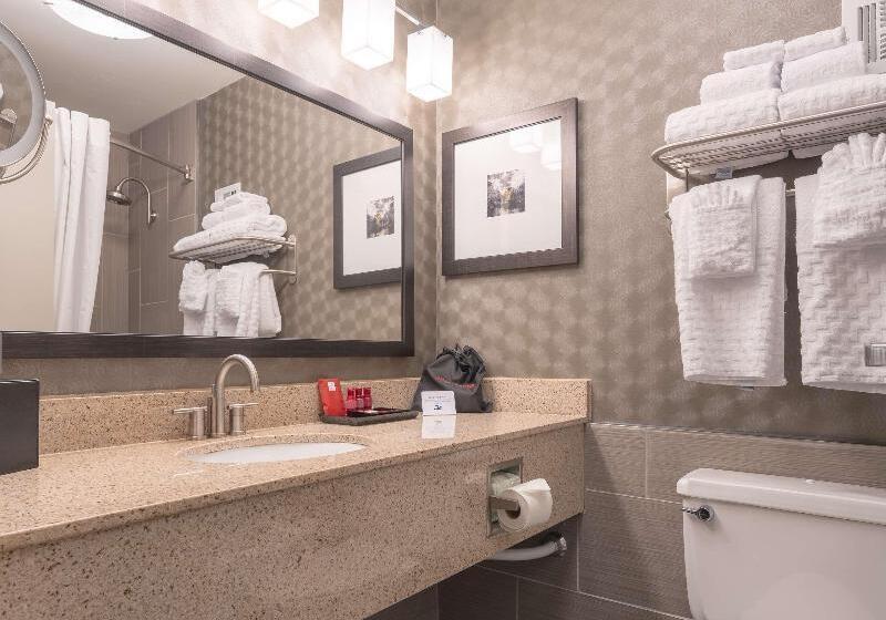 带大床的标准间, Best Western Premier Airport/expo Center