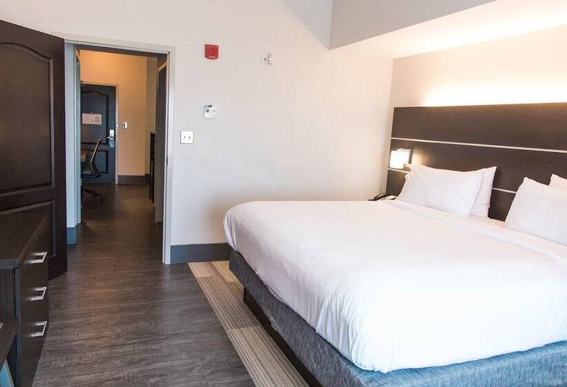 스탠다드 룸, Holiday Inn Express Hotel & Suites Columbia Fort Jackson, An Ihg