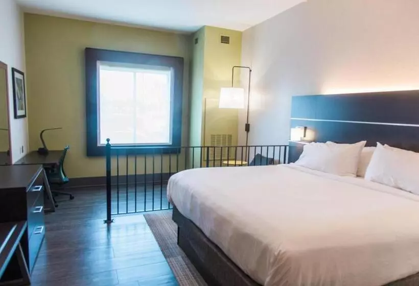 اتاق استاندارد با تخت بزرگ, Holiday Inn Express Hotel & Suites Columbia Fort Jackson, An Ihg