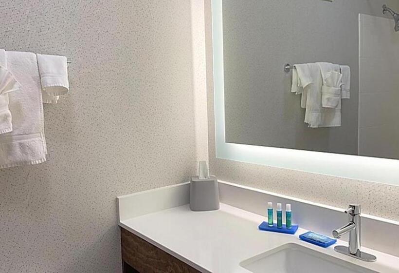 스탠다드 룸 킹사이즈 침대, Holiday Inn Express Hotel & Suites Columbia Fort Jackson, An Ihg