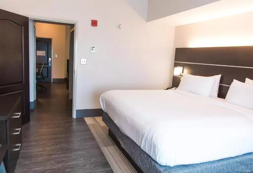 سوییت لوکس, Holiday Inn Express Hotel & Suites Columbia Fort Jackson, An Ihg
