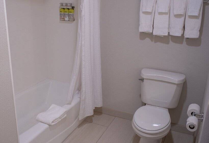 Люкс, Holiday Inn Express Hotel & Suites Conover   Hickory Area, An Ihg
