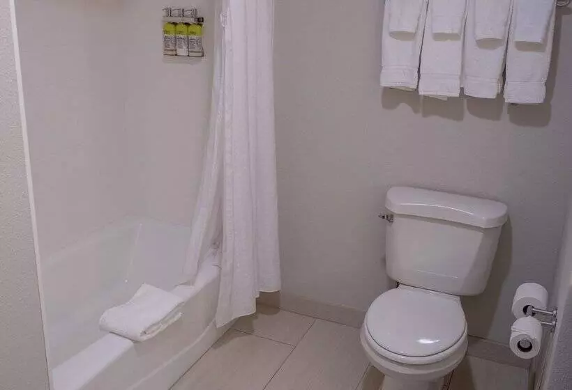 スイート, Holiday Inn Express Hotel & Suites Conover   Hickory Area, An Ihg