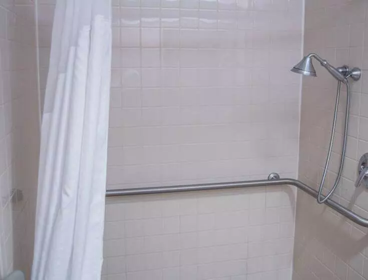 身障者適用スイートルーム, Holiday Inn Express Hotel & Suites Conover   Hickory Area, An Ihg
