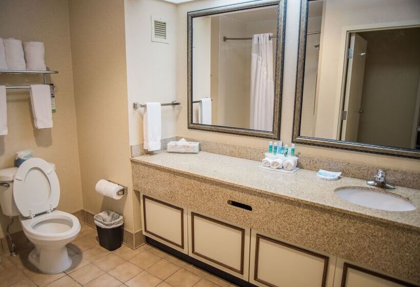 Люкс Адаптированный для Инвалидов, Holiday Inn Express Hotel & Suites Conover   Hickory Area, An Ihg