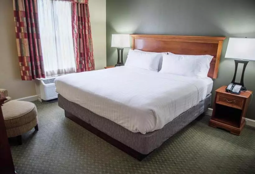 キングサイズベッドのスタンダードルーム, Holiday Inn Express Hotel & Suites Conover   Hickory Area, An Ihg