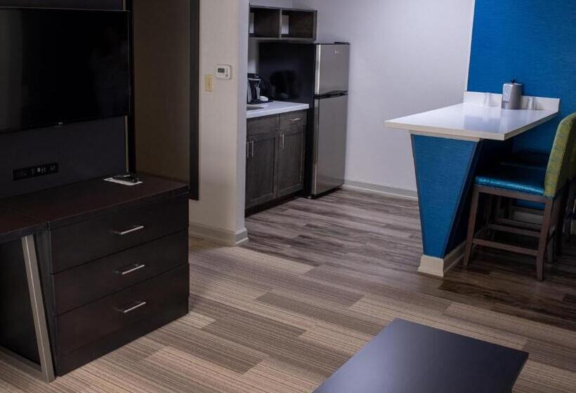 Люкс Кровать Кинг, Holiday Inn Express Hotel & Suites Conover   Hickory Area, An Ihg