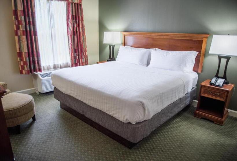 Номер Стандарт Кровать Кинг Адаптированный для Инвалидов, Holiday Inn Express Hotel & Suites Conover   Hickory Area, An Ihg