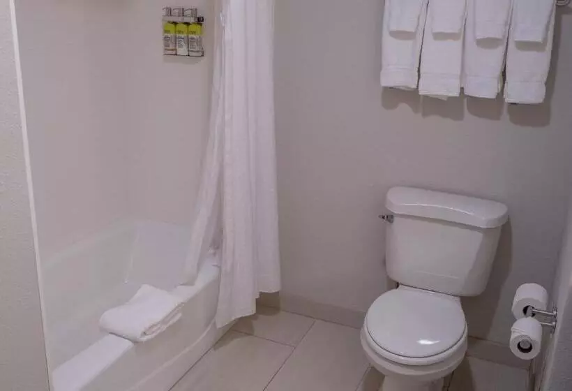 スタンダードルーム, Holiday Inn Express Hotel & Suites Conover   Hickory Area, An Ihg