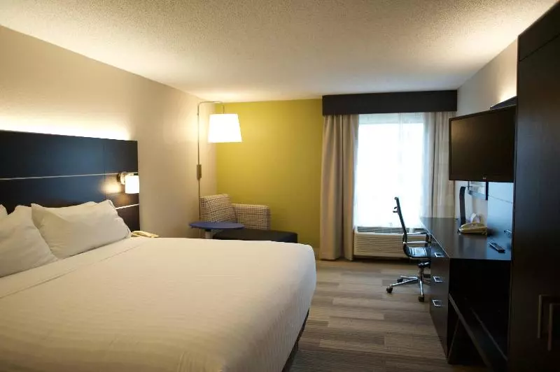 キングサイズベッドのスタンダードルーム, Holiday Inn Express Atlanta W  Douglasville, An Ihg