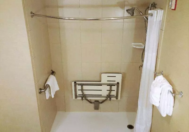 キングサイズベッドのスタンダードルーム, Holiday Inn Express Baltimore Bwi Airport West, An Ihg
