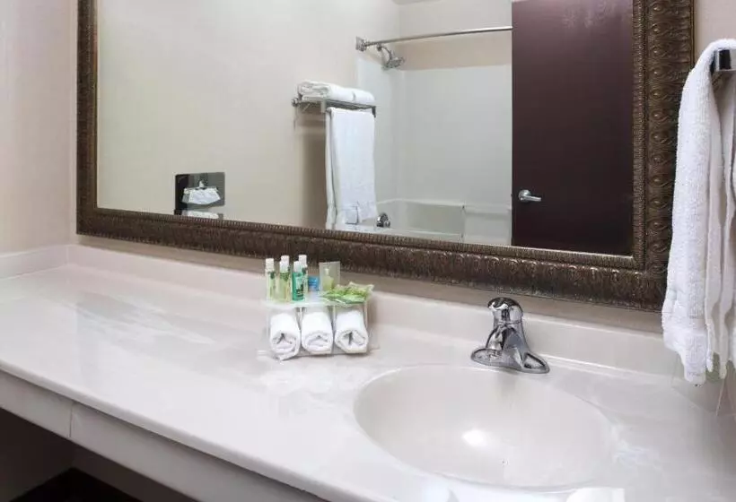 اتاق استاندارد در طبقه همکف, Holiday Inn Express Spokane Valley, An Ihg