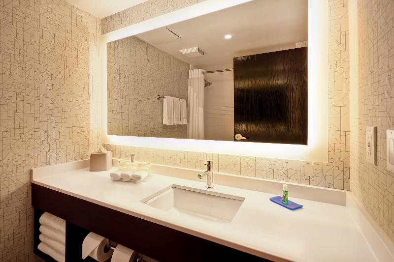 スタンダードルーム, Holiday Inn Express & Suites Allentown Dorney Park Area, An Ihg