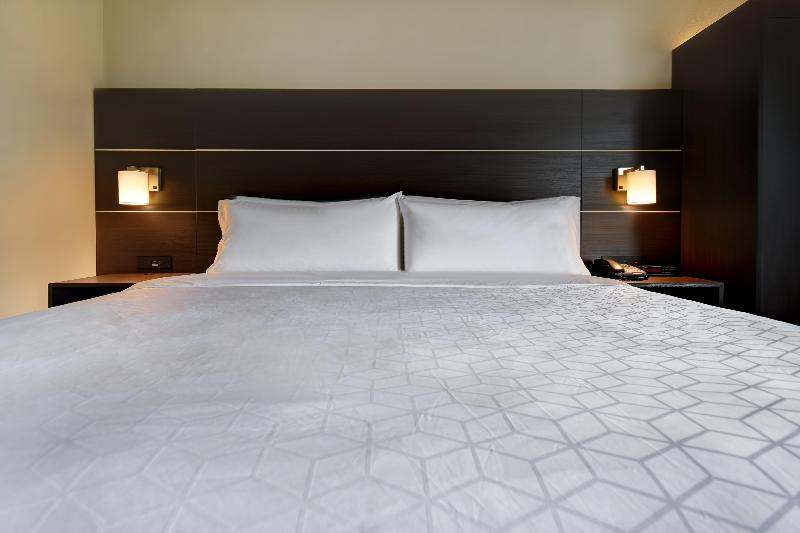 身障者適用キングサイズベッドルーム, Holiday Inn Express & Suites Allentown Dorney Park Area, An Ihg