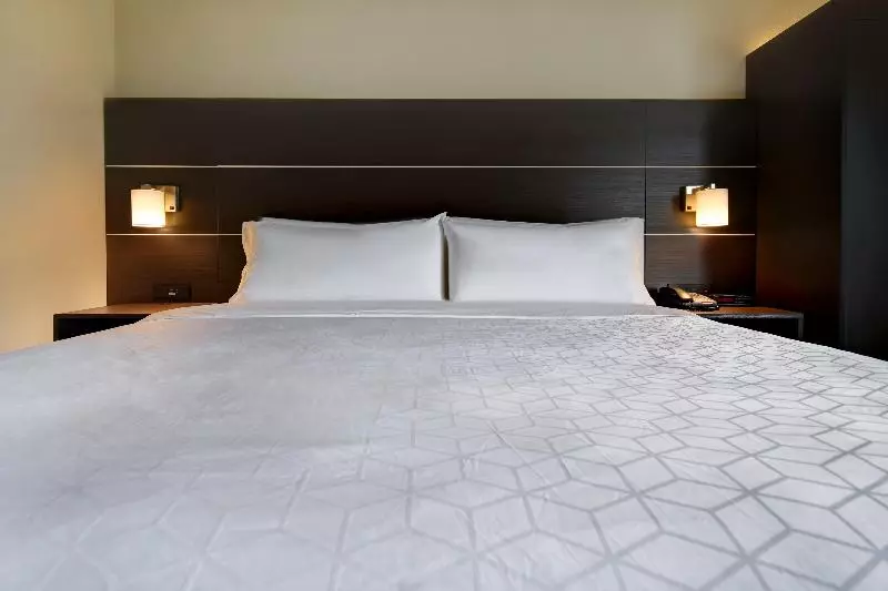 اتاق استاندارد با تخت بزرگ برای معلولان, Holiday Inn Express & Suites Allentown Dorney Park Area, An Ihg