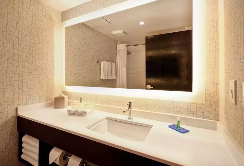 سوییت, Holiday Inn Express & Suites Allentown Dorney Park Area, An Ihg