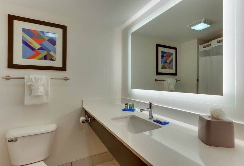 Номер Стандарт, Holiday Inn Express & Suites Troy By Ihg