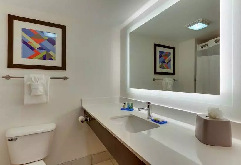 Standard-huone, Holiday Inn Express & Suites Troy By Ihg