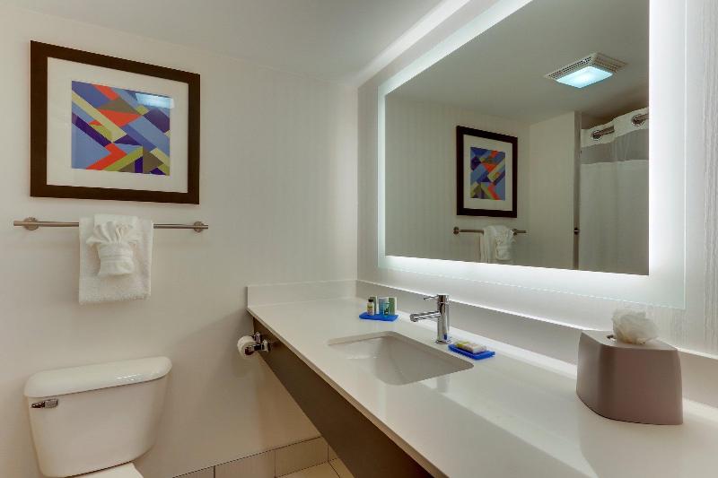 장애인을 위한 스탠다드 룸, Holiday Inn Express & Suites Troy By Ihg