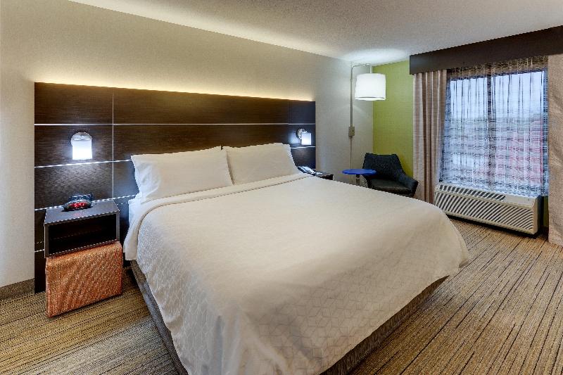 장애인을 위한 킹사이즈 침대 스탠다드 룸, Holiday Inn Express & Suites Troy By Ihg