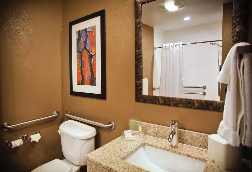 身障者適用スイートルーム, Holiday Inn & Suites Downtown La Crosse
