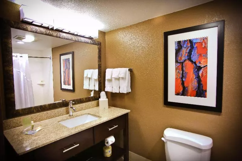 キングサイズベッドのスイートルーム, Holiday Inn & Suites Downtown La Crosse