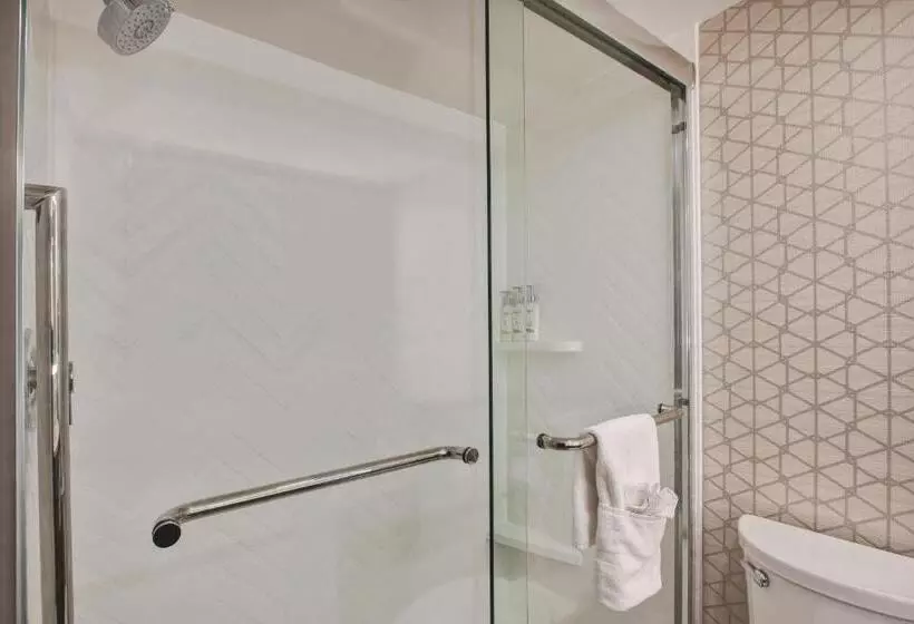 استودیو استاندارد با تخت کینگ, Holiday Inn Va Beach Oceanside 21st St, An Ihg