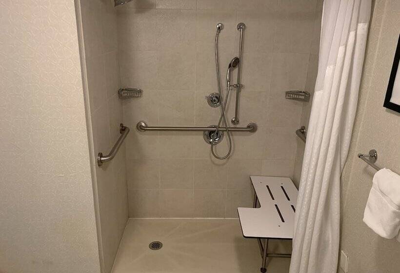 带2个双人床的标准工作室, Holiday Inn Va Beach Oceanside 21st St, An Ihg