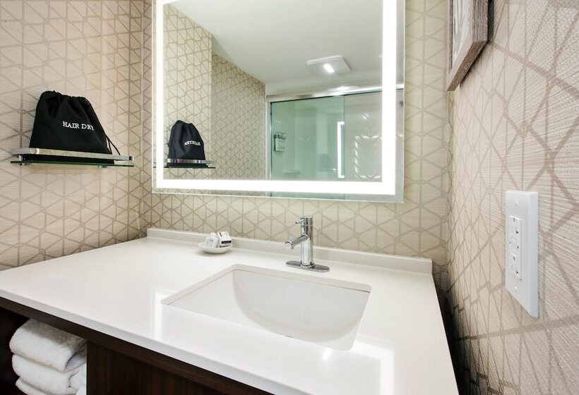 带2个双人床的标准工作室, Holiday Inn Va Beach Oceanside 21st St, An Ihg