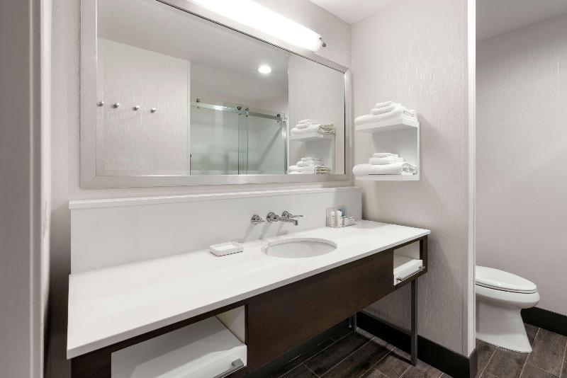 Номер Стандарт Кровать Кинг Адаптированный для Инвалидов, Homewood Suites By Hilton Dallasmarket Center