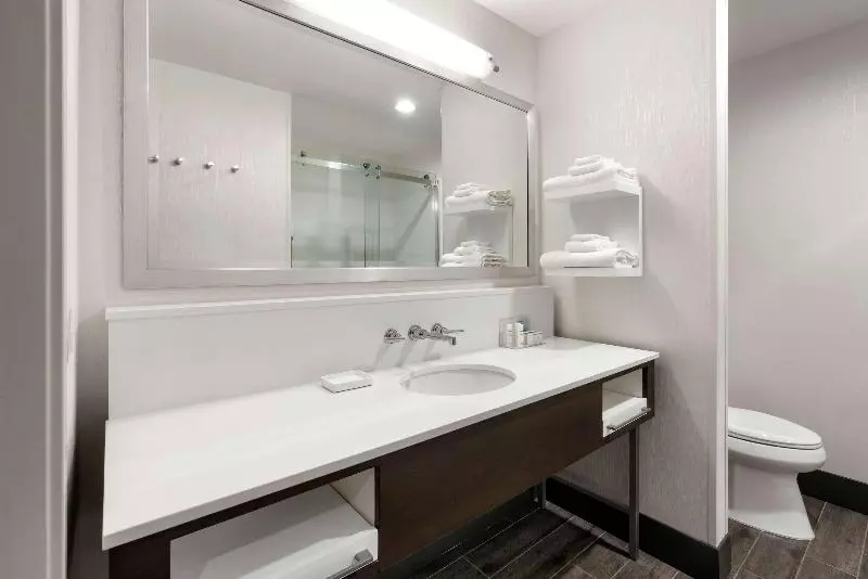 身障者適用キングサイズベッドルーム, Homewood Suites By Hilton Dallasmarket Center