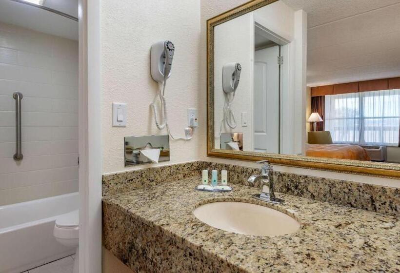 带大床的标准间, Quality Inn And Suites Palatka Riverfront