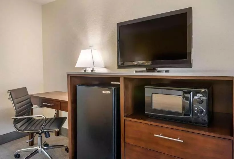 キングサイズベッドのスタンダードルーム, Quality Inn And Suites Palatka Riverfront