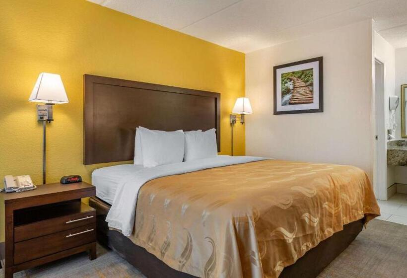 带大床的套房, Quality Inn And Suites Palatka Riverfront