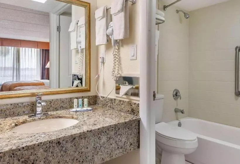 スタンダードルーム, Quality Inn And Suites Palatka Riverfront