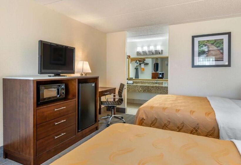 带2个双人床的标准工作室, Quality Inn And Suites Palatka Riverfront