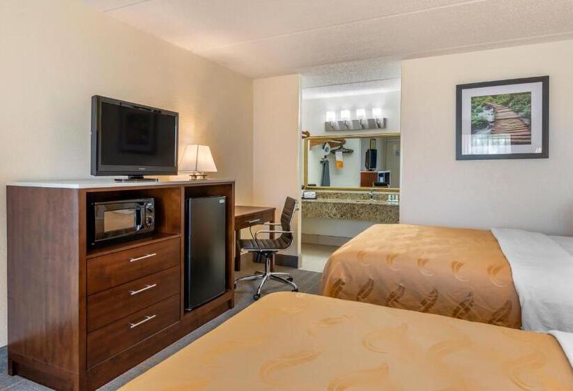 带2个双人床的标准工作室, Quality Inn And Suites Palatka Riverfront