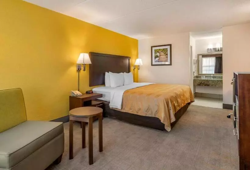 身障者適用キングサイズベッドルーム, Quality Inn And Suites Palatka Riverfront