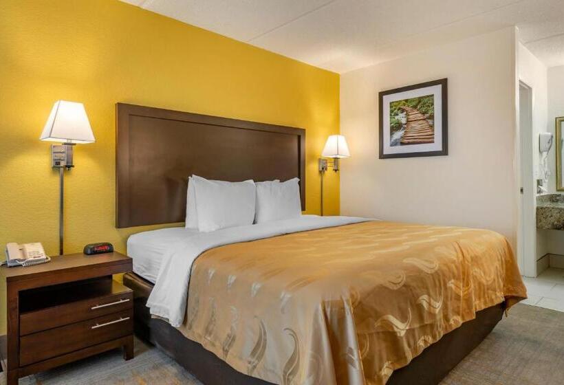 غرفة قياسية سرير كينج لذوى الإحتياجات الخاصة, Quality Inn And Suites Palatka Riverfront