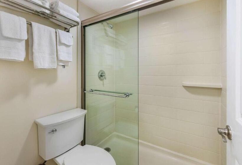适合残疾人士使用的带超级大床的标准间, Quality Inn And Suites Palatka Riverfront