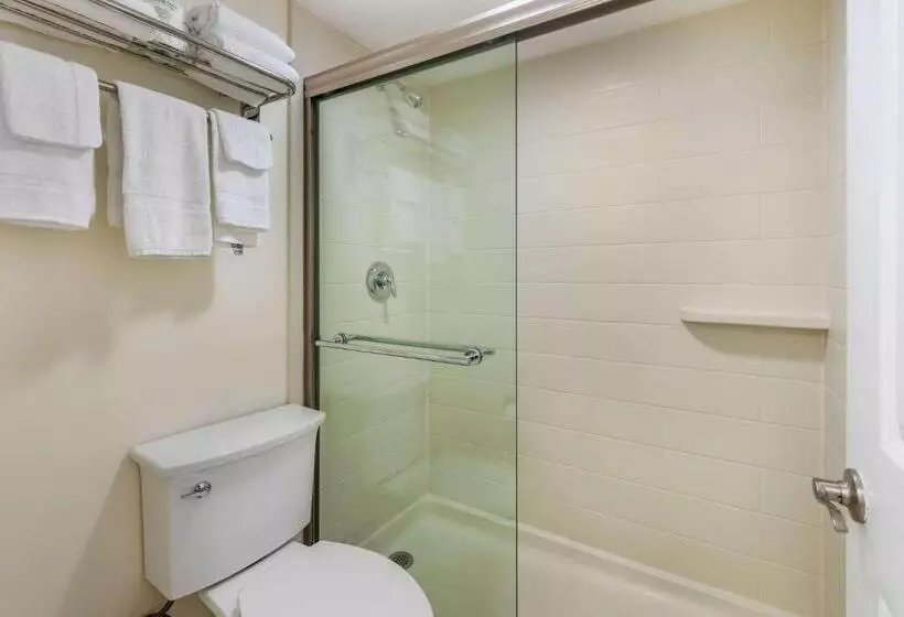 身障者適用キングサイズベッドルーム, Quality Inn And Suites Palatka Riverfront
