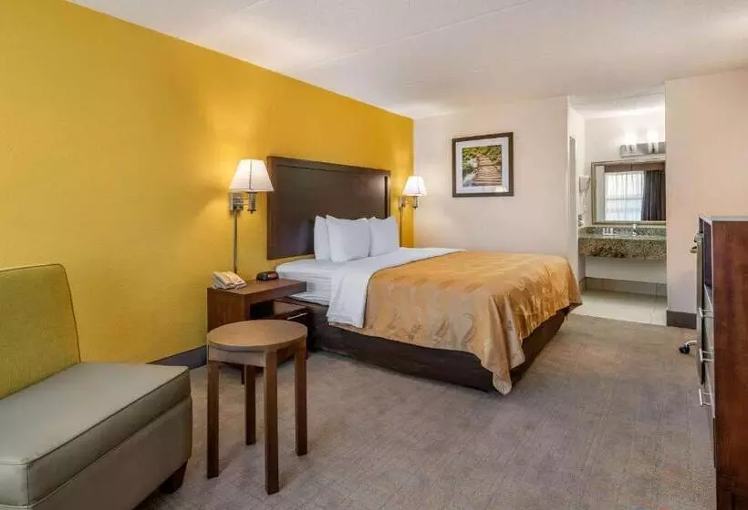 身障者適用キングサイズベッドルーム, Quality Inn And Suites Palatka Riverfront