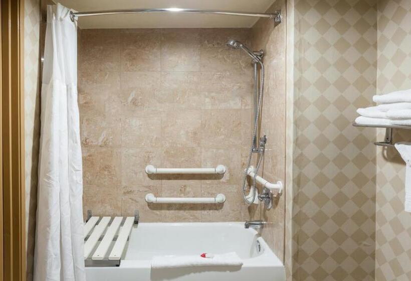 Номер Стандарт Кровать Кинг Адаптированный для Инвалидов, Ramada By Wyndham San Diego National City