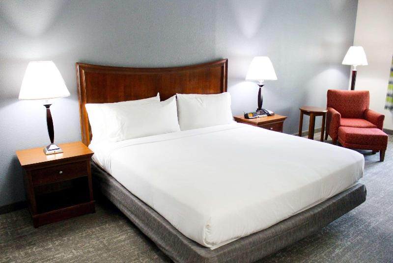 غرفة قياسية سرير كينج, Wingate By Wyndham Savannah I 95 North