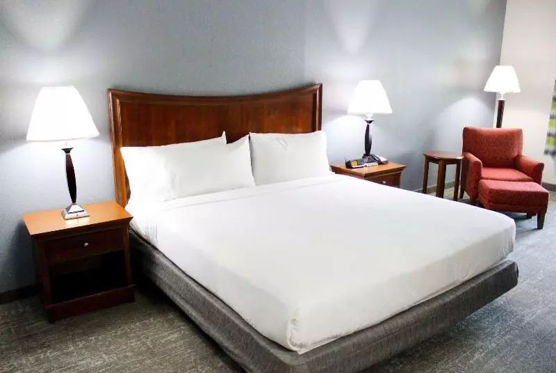 اتاق استاندارد با تخت بزرگ, Wingate By Wyndham Savannah I 95 North